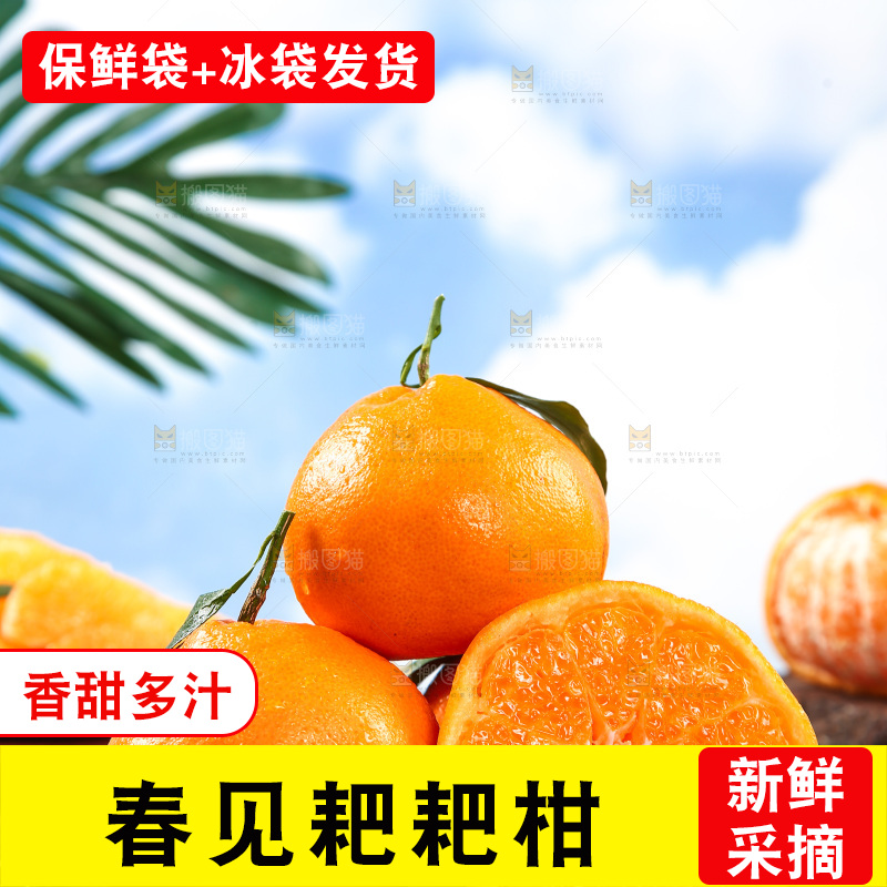 竹底上放着春见耙耙柑
