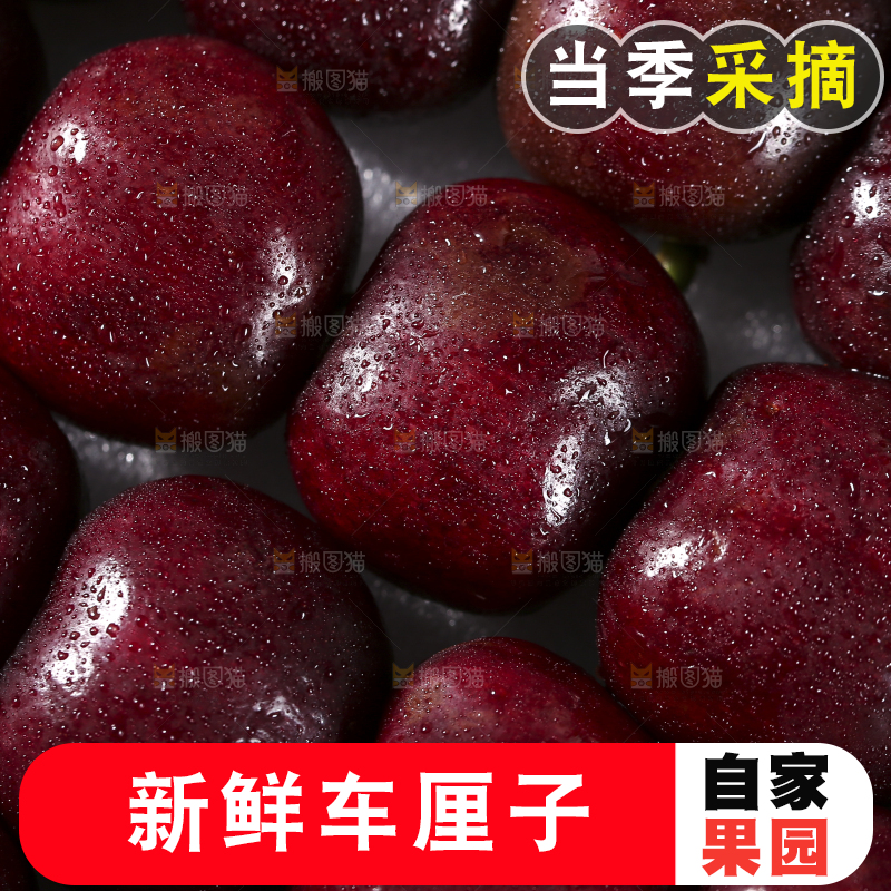车厘子纹理