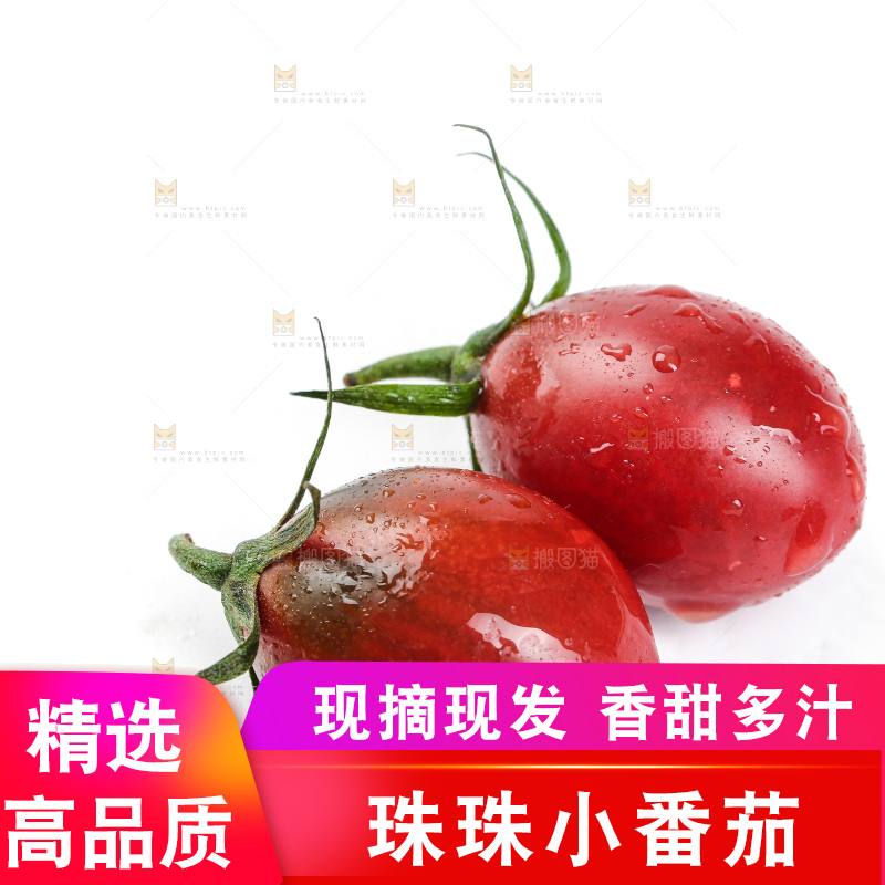 白底上的新鲜小番茄