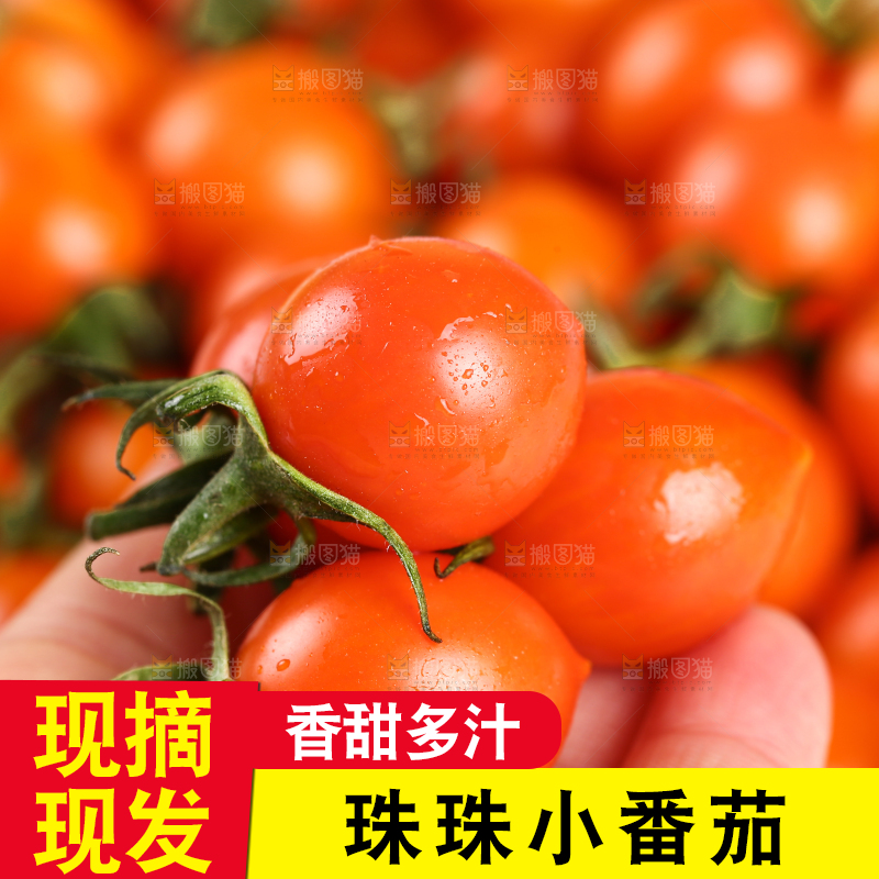 珠珠小番茄纹理