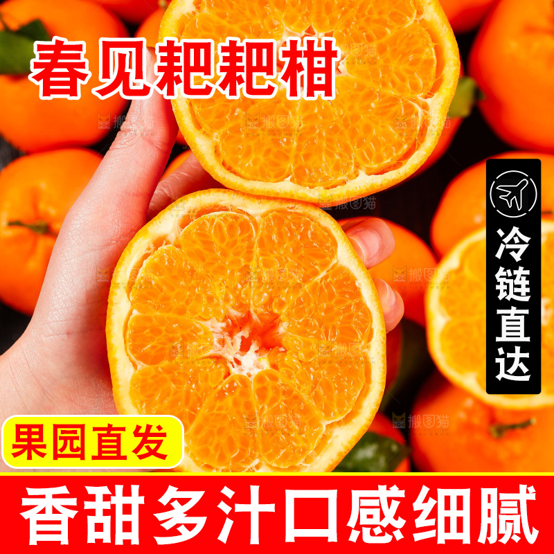 手里拿着切开的耙耙柑