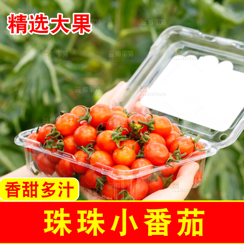 盒子里装着珠珠小番茄