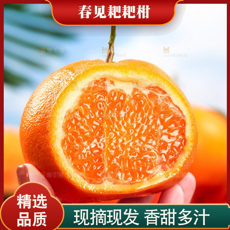 手里拿着耙耙柑