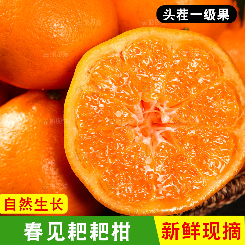 篮子里的新鲜耙耙柑