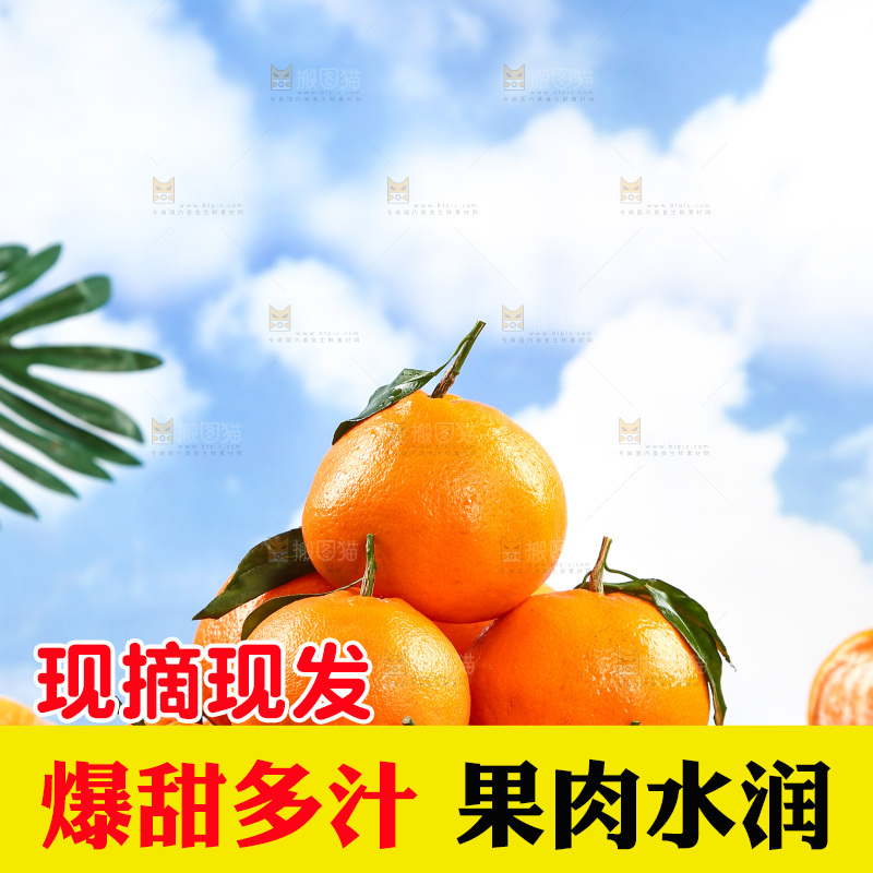 篮子里的新鲜耙耙柑