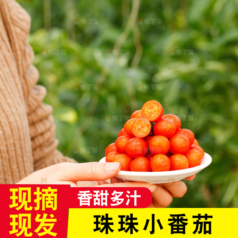 手里捧着一碟珍珠小番茄