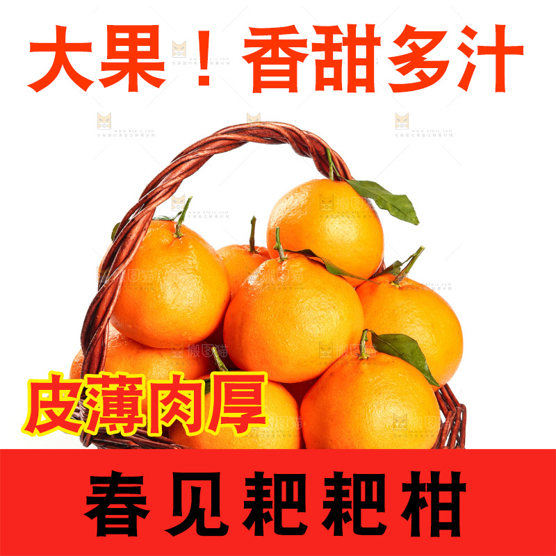 白底上放着一篮四川耙耙柑