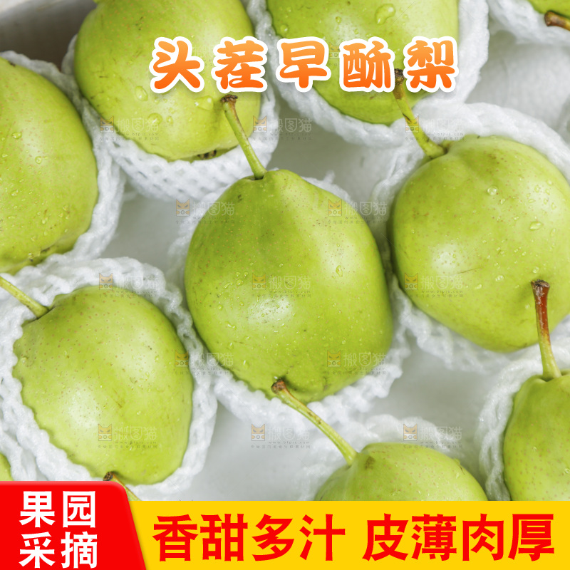 早酥梨纹理
