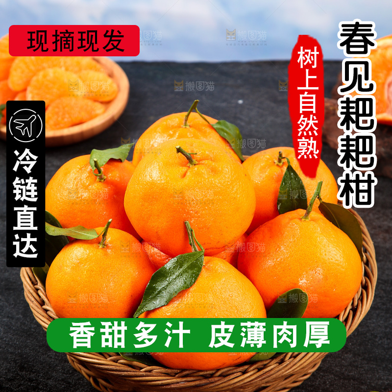 黑底上放着一篮春见耙耙柑