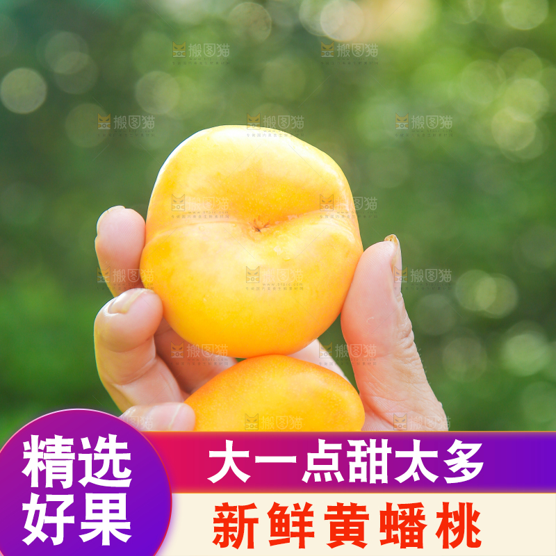 手拿着的黄油蟠桃