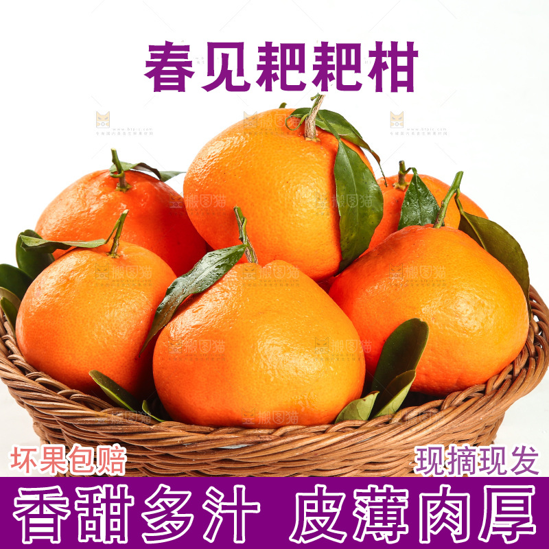 篮子里的耙耙柑