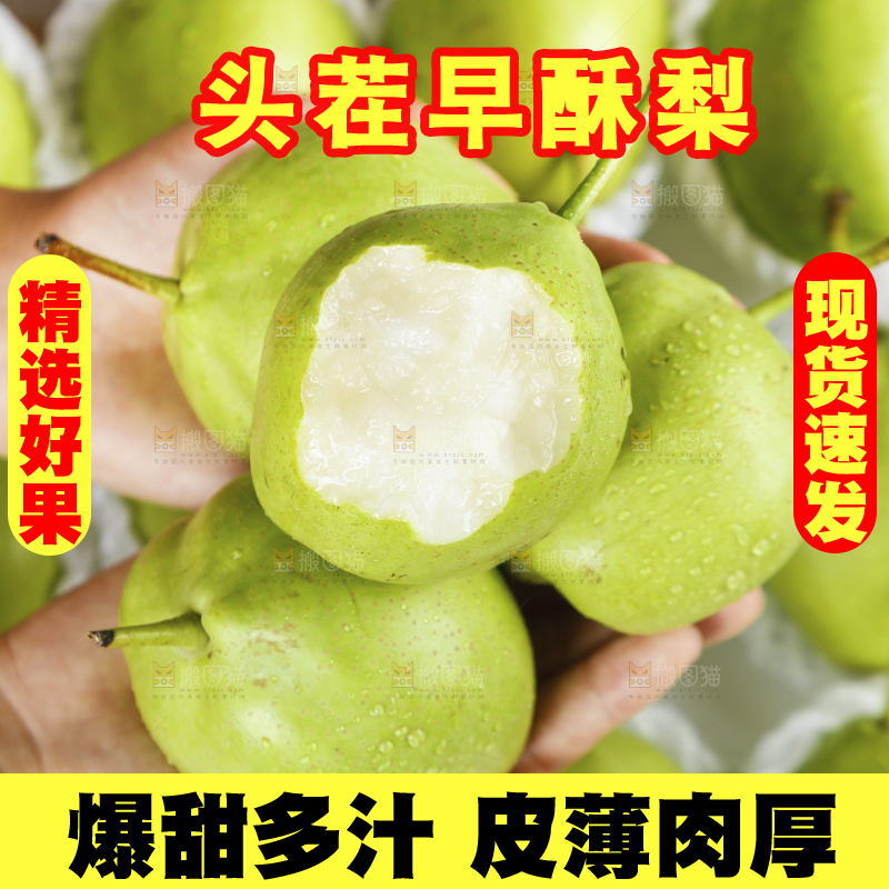 手上捧着早酥梨