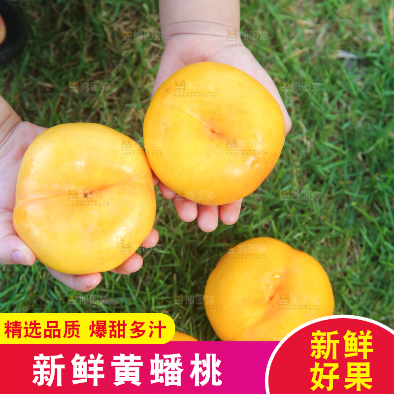 手捧着的黄金蟠桃