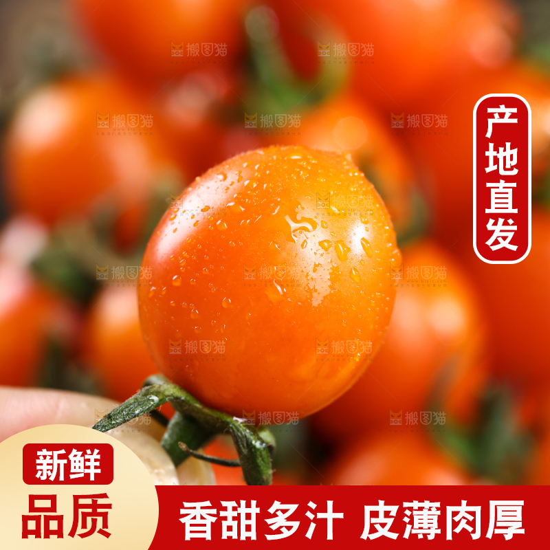 手里拿着新鲜小番茄
