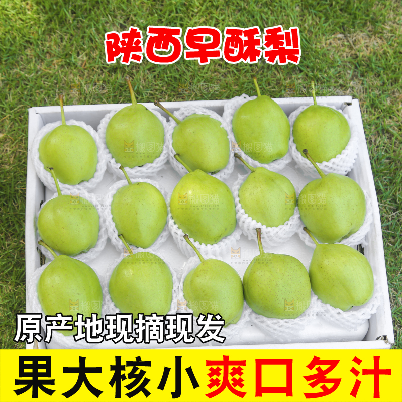 草坪上放着一盒早酥梨