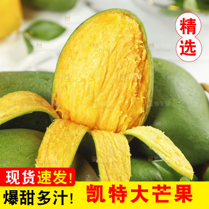 篮子里放着凯特芒