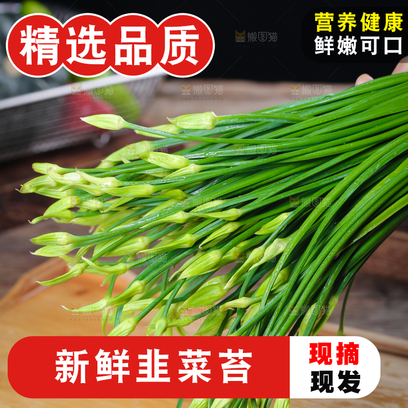 新鲜的韭菜苔