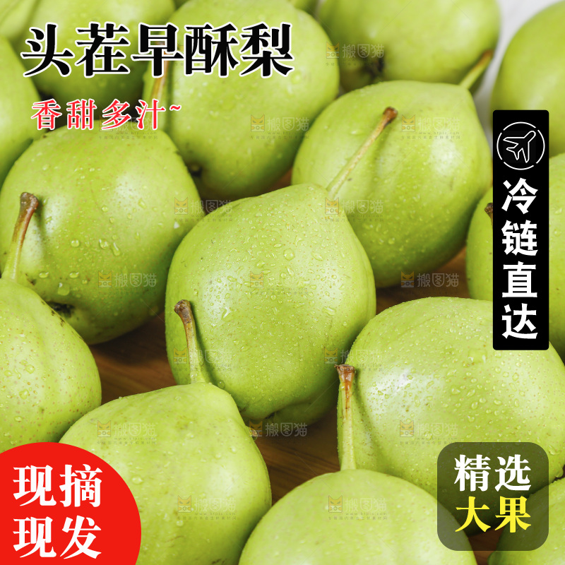 早酥梨纹理
