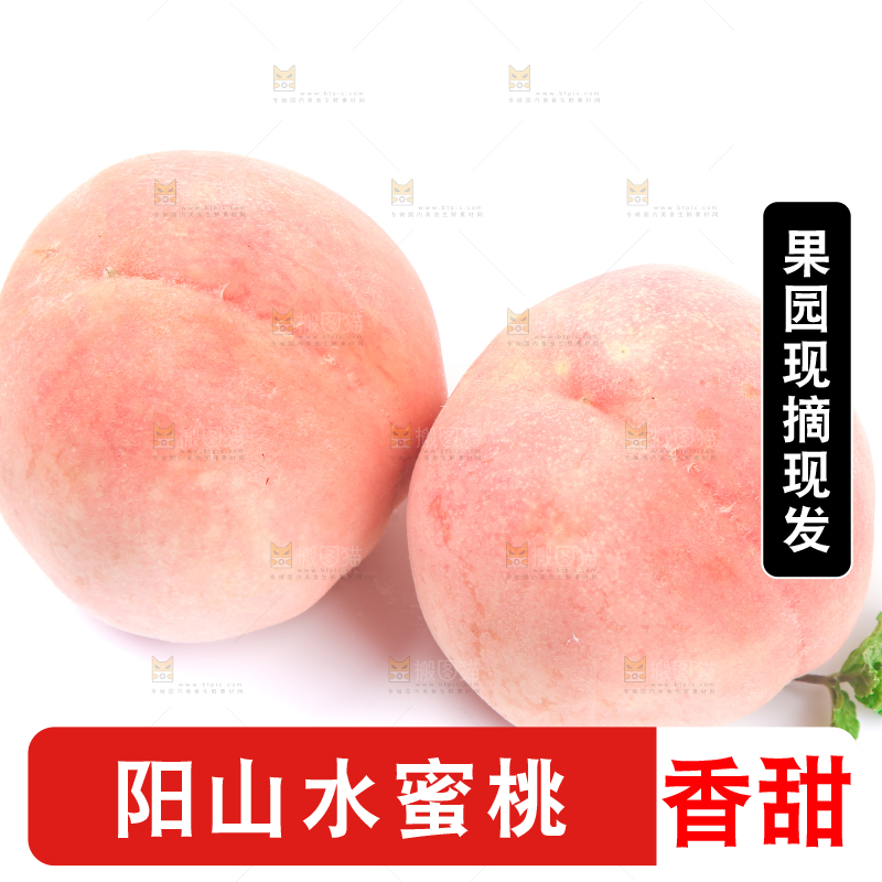 白底上放着阳山水蜜桃