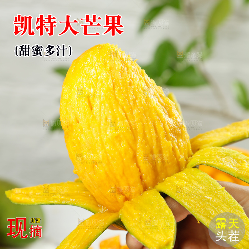手上拿着攀枝花凯特芒