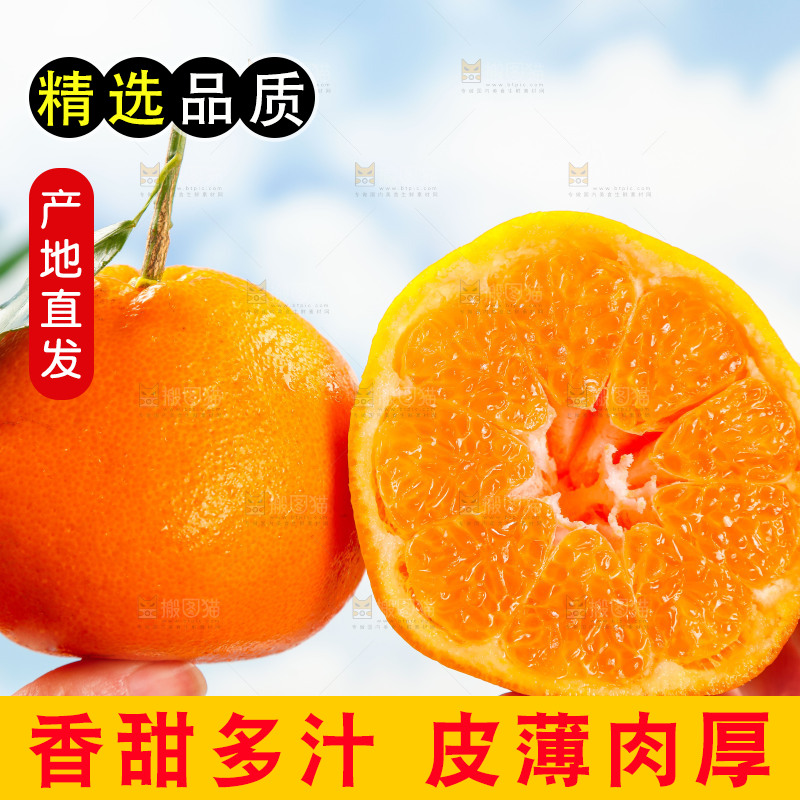 手里拿着四川春见耙耙柑