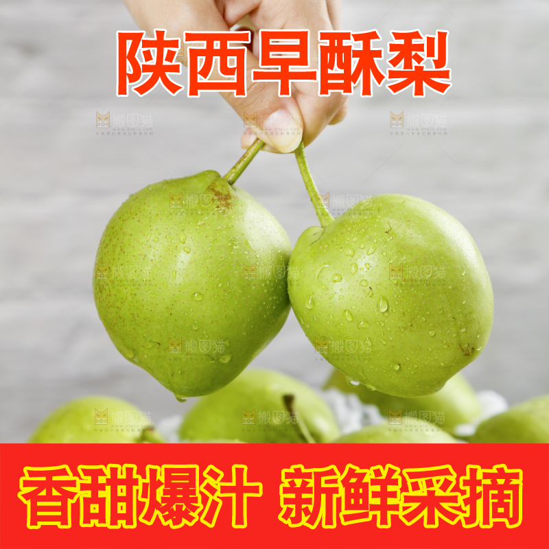 手上拿着早酥梨
