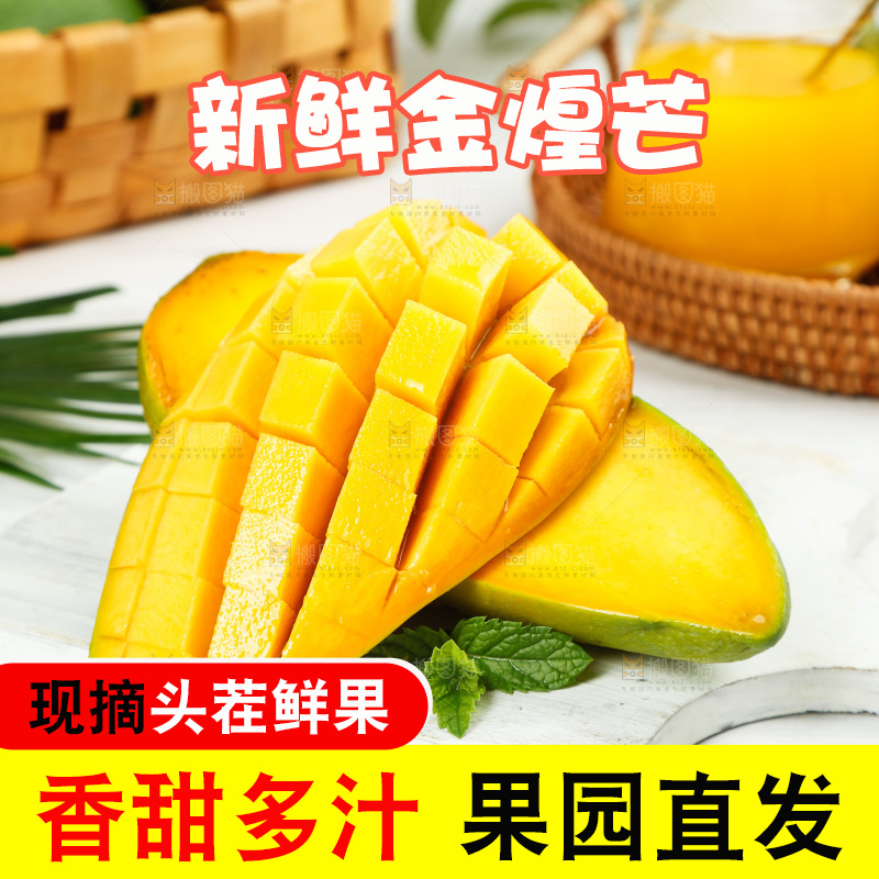 白底上放着金煌芒