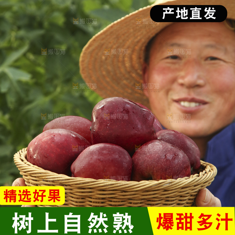 农民端着一篮子天水花牛苹果