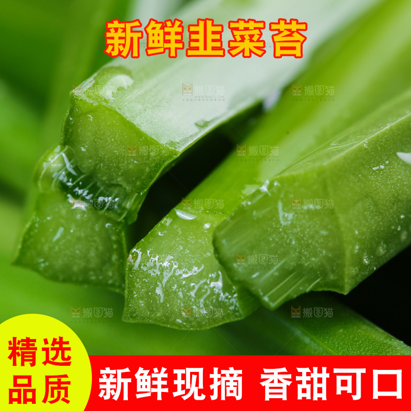 新鲜的韭菜苔