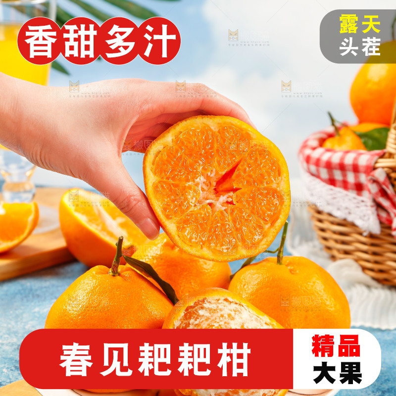 手里拿着四川春见耙耙柑