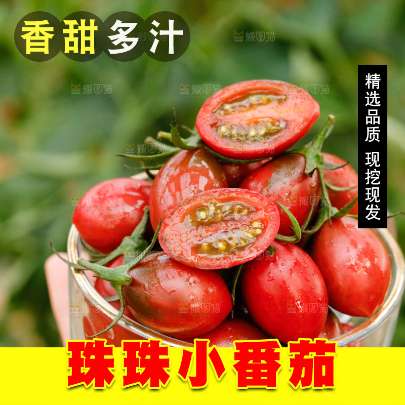 杯子里装着珍珠小番茄