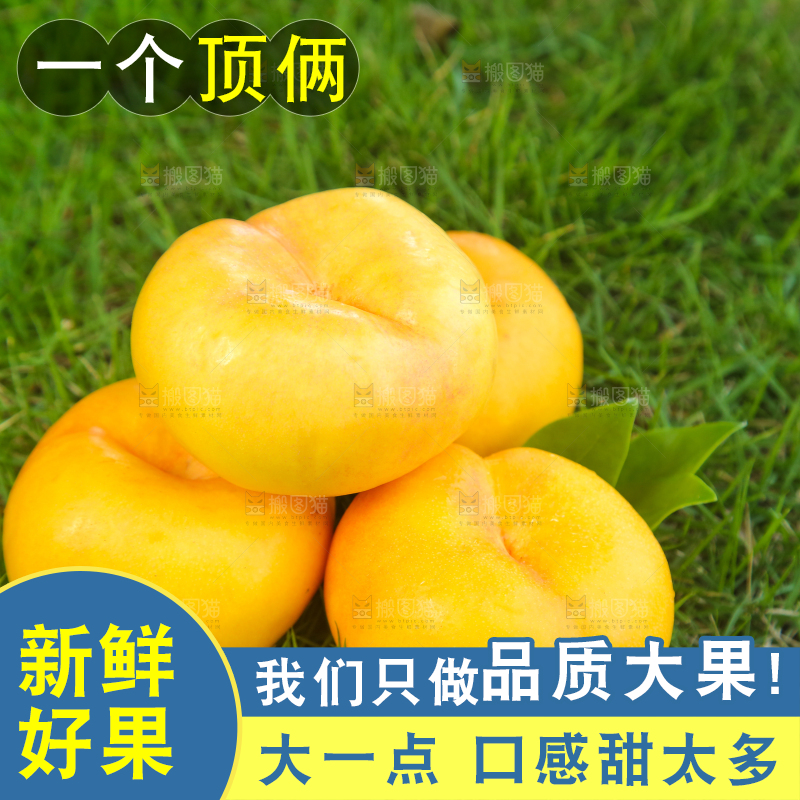 草坪上放着黄金蟠桃