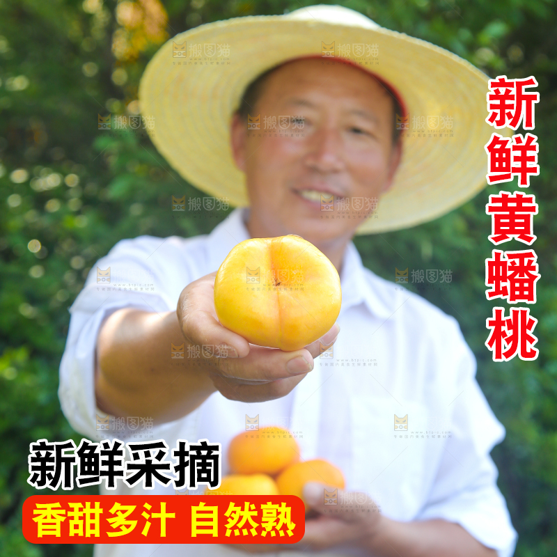农民手上拿着的黄油蟠桃