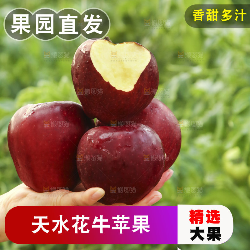 手里拿着花牛苹果