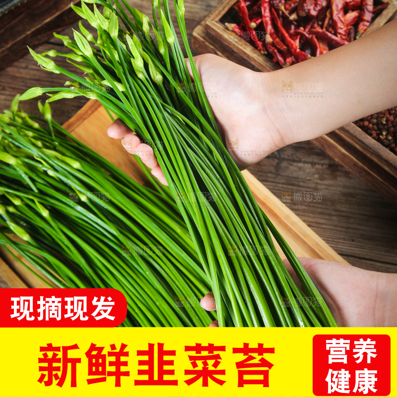 手上捧着的韭苔