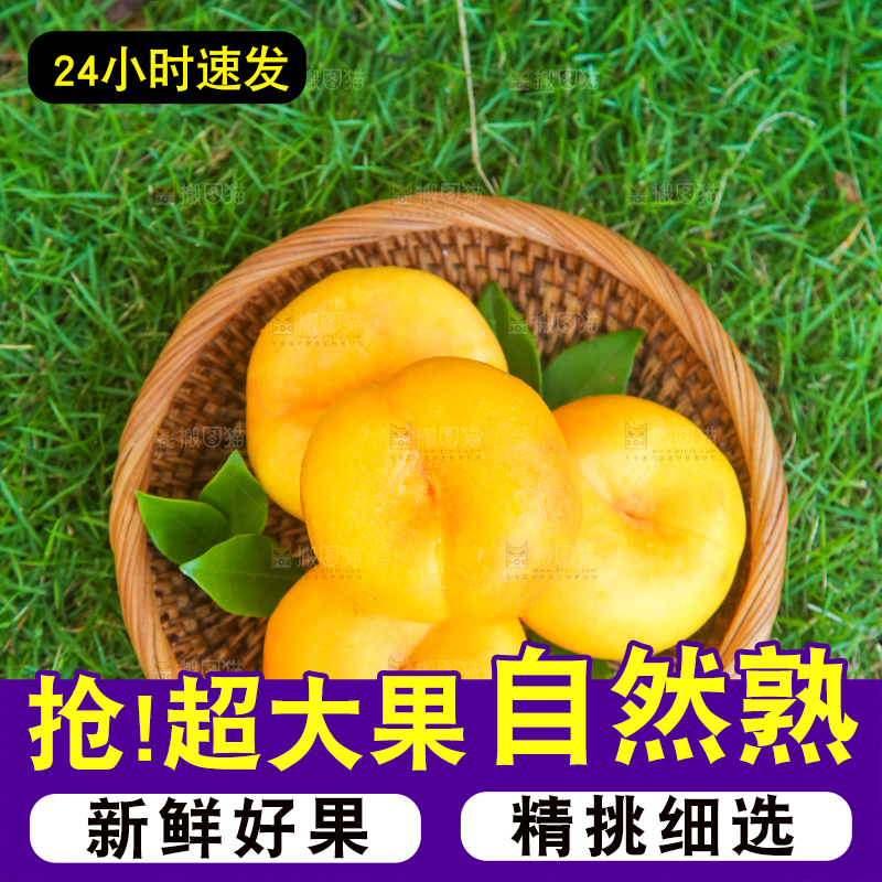 草坪上放着一篮蒙阴黄蟠桃