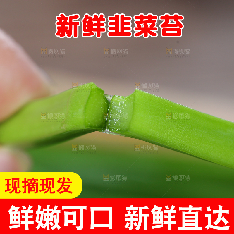 手上掰开韭菜苔