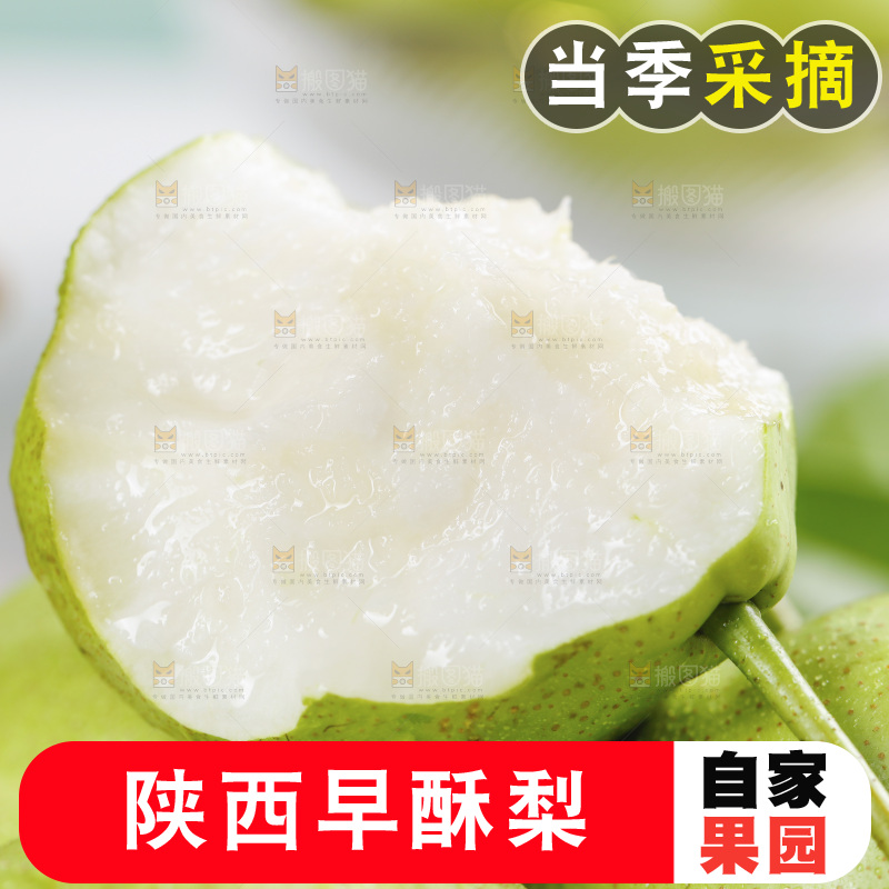 新鲜的陕西早酥梨