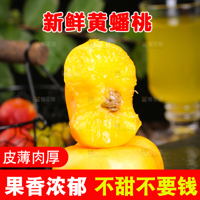 黑底上放着陕西黄蟠桃