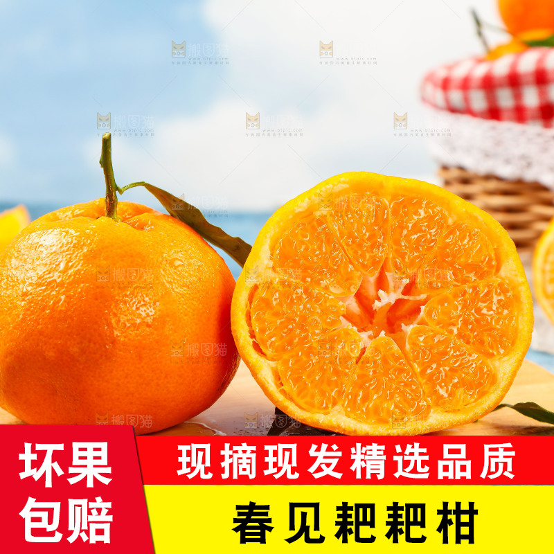 木板上放着春见耙耙柑