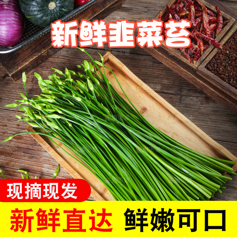 木底上放着韭苔