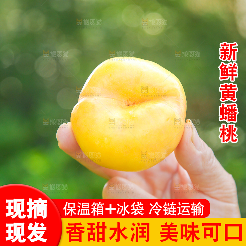 手拿着的黄油蟠桃