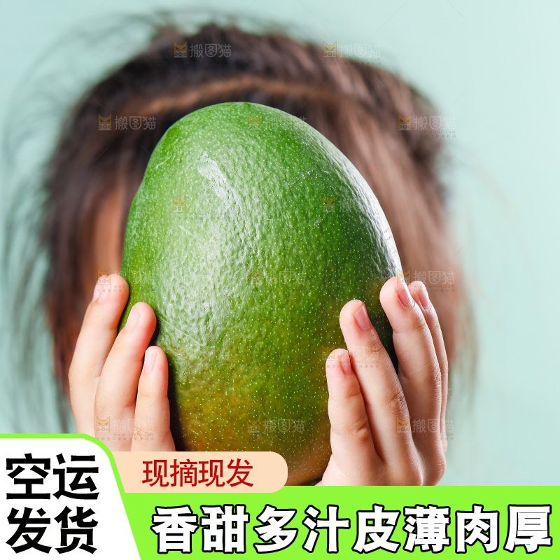 手上捧着凯特芒