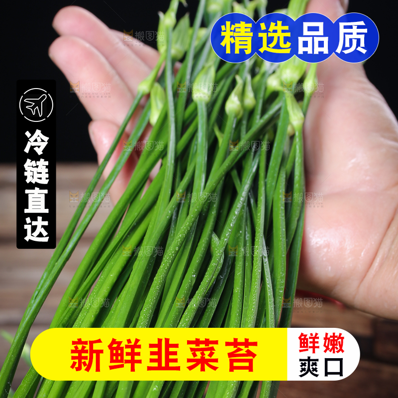 手拿着韭菜苔