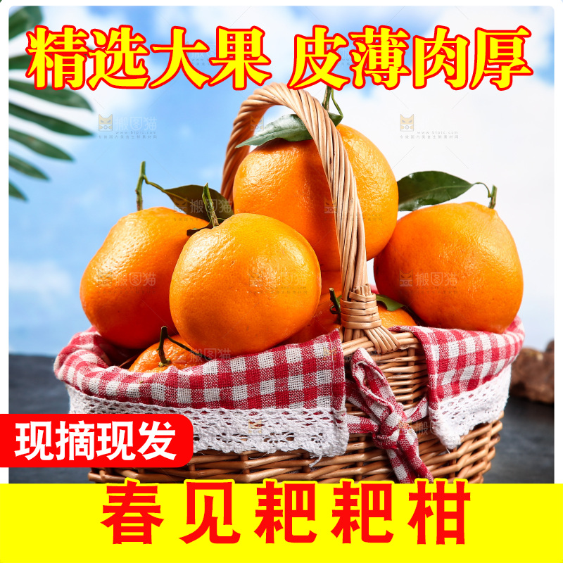 黑底上放着一篮春见耙耙柑