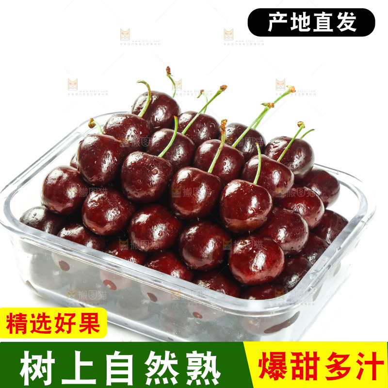 白底上放着美早大樱桃