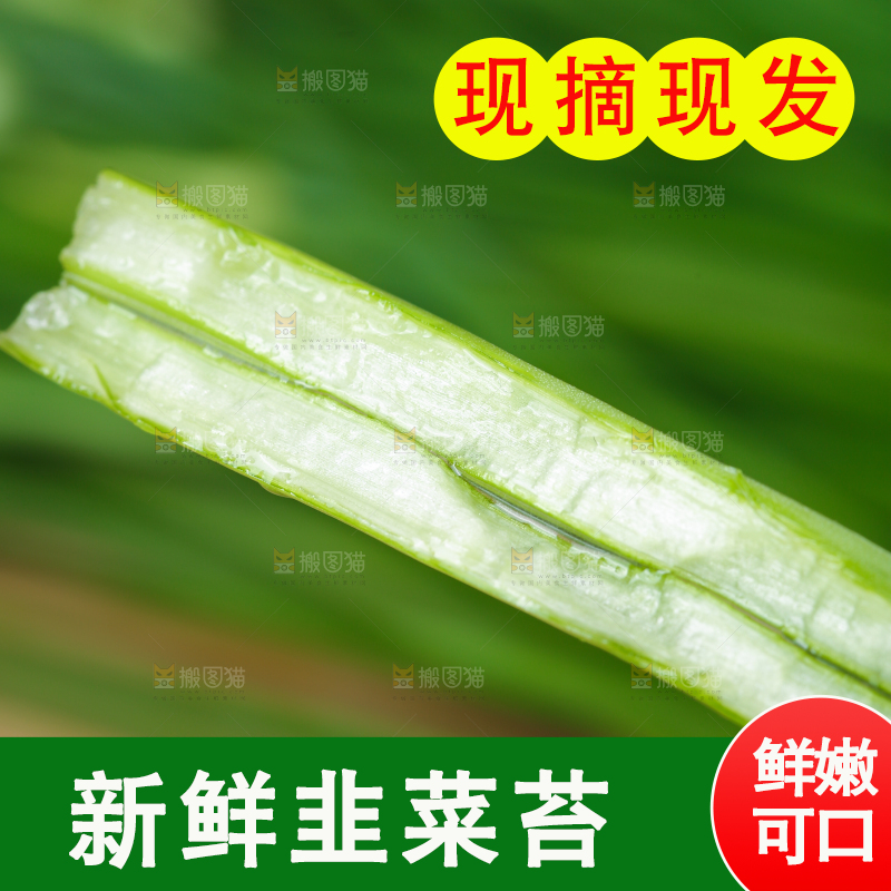 木底上放着韭菜苔