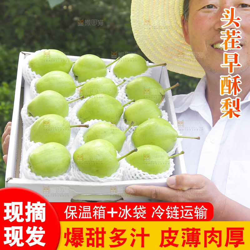 农民手端着一盒早酥梨