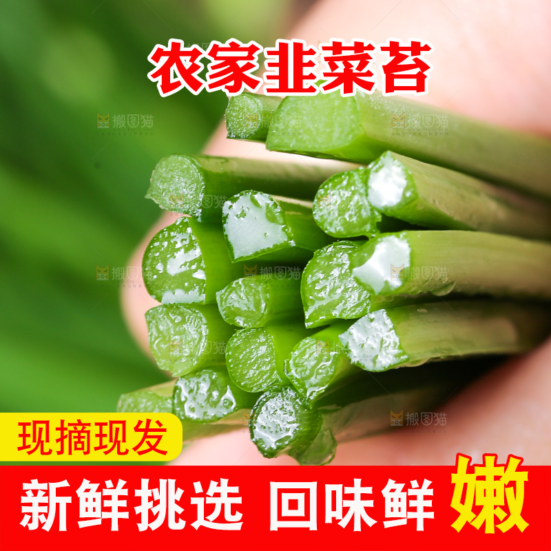 手上拿着韭菜苔
