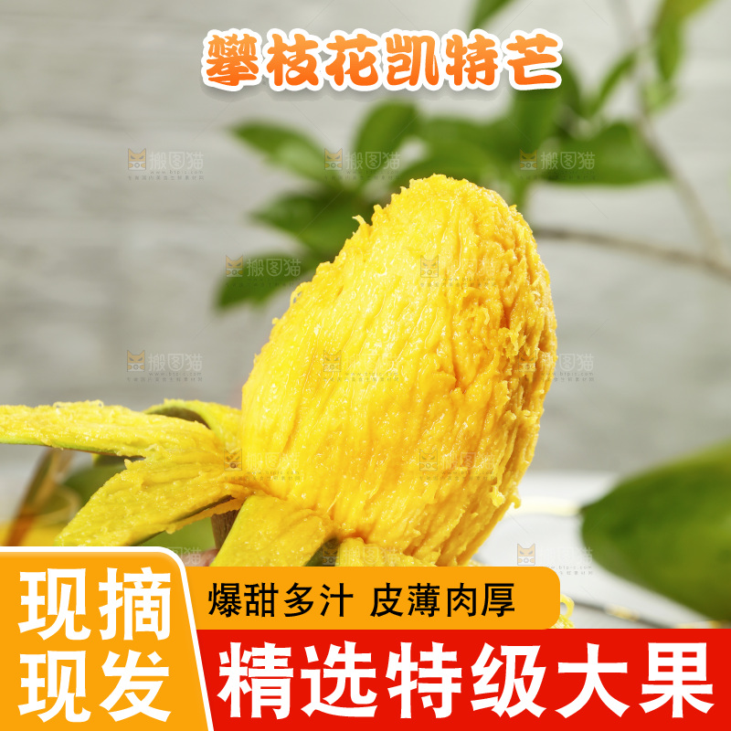 手上剥开的攀枝花凯特芒